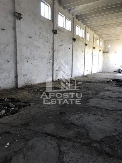 Teren Construcții intravilan de 8000 mp, în Vladimirescu