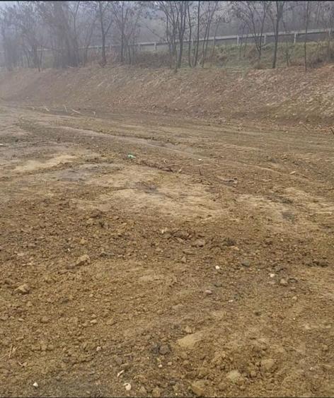 Teren 3700mp,Sura Mare, utilitati la hotar,cu intrare din Strada Noua - 4