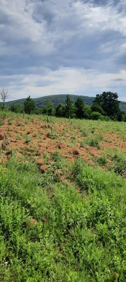 Teren Construcții extravilan de 3000 mp, în Luncani