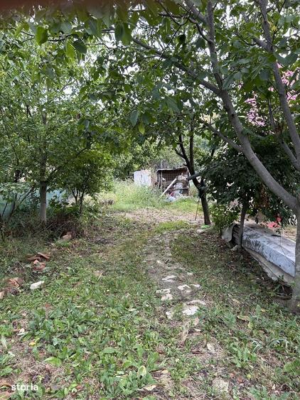 Casă cu 2 camere în Central
