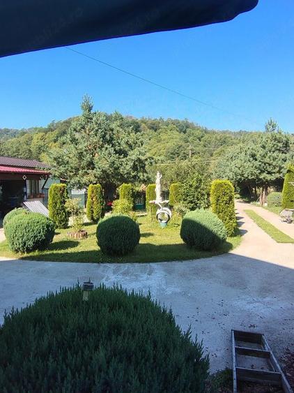 Casă cu Teren 2800 Mp în Toplița