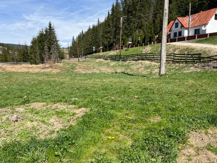 Teren de 3000 mp, în Poiana Horea