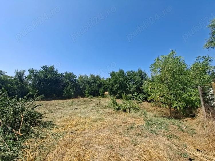 Casă cu Teren 1850 Mp în Colceag