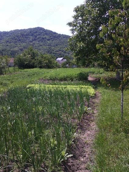 Casă cu 4 camere în Năsăud