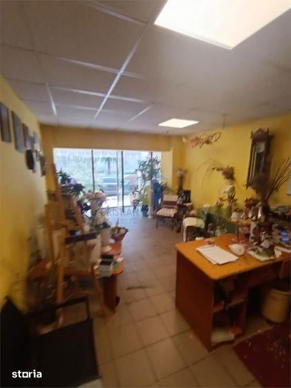 Spatiu Comercial Ultracentral 103 mp - 11