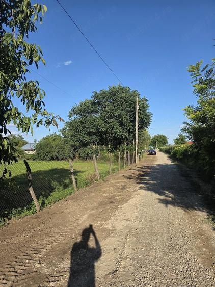 Teren de 1649 mp, în Grecii de Jos