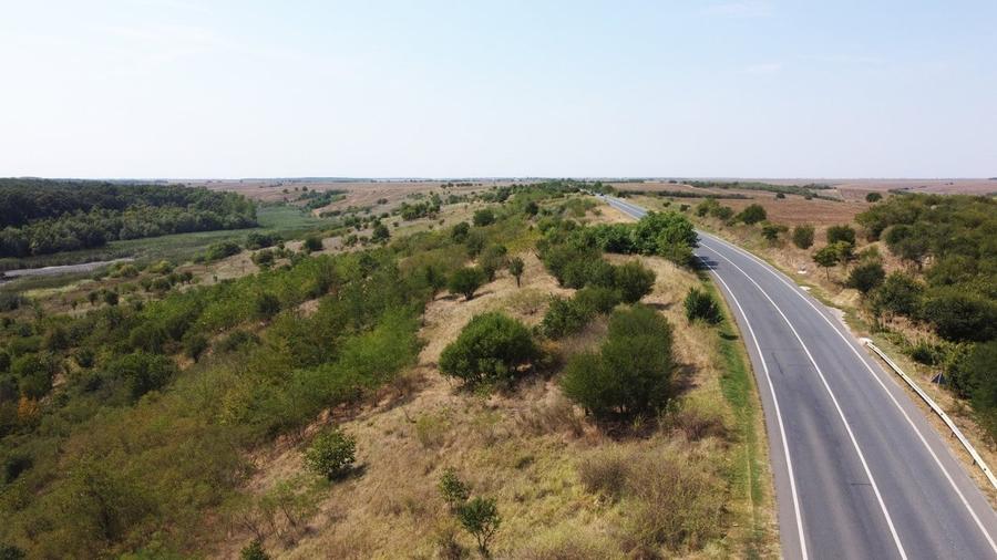 Teren Construcții intravilan de 2500 mp, în Naipu