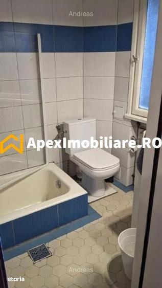Apartament 2 camere de inchiriat Cismigiu Bucuresti | ApexImobiliare.r - 10