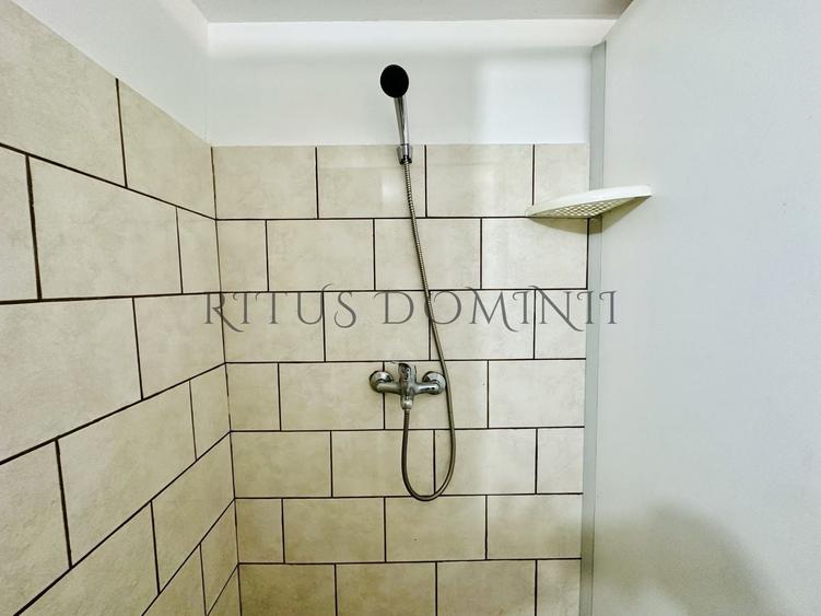 Apartament cu 4 camere, mobilat în Nufărul