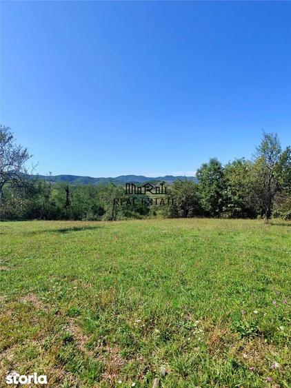 Teren de 8757 mp, în Luncoiu de Jos