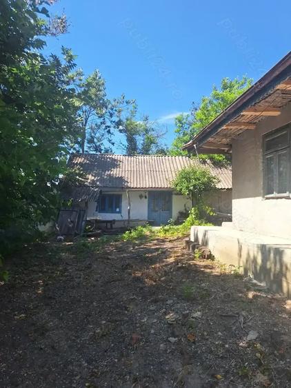 Casă cu 2 camere cu Teren 3100 Mp în Central