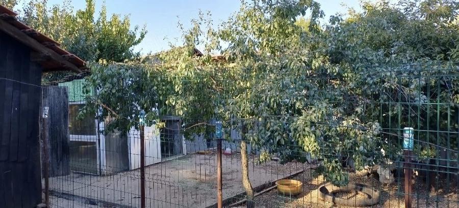 Casă cu 3 camere cu Teren 900 Mp în Terpezița