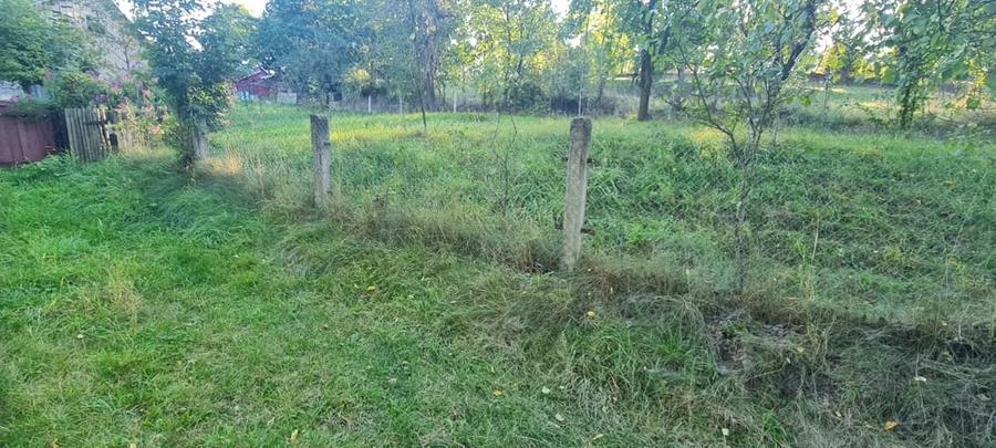Casă cu Teren 21 Mp în Pârteștii de Jos