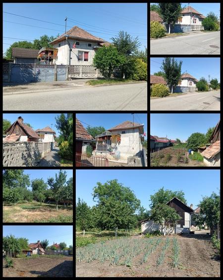 Casă cu 3 camere în Central