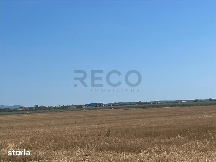 RECO Teren extravilan Ucuris- Olcea 44 000 mp - 2