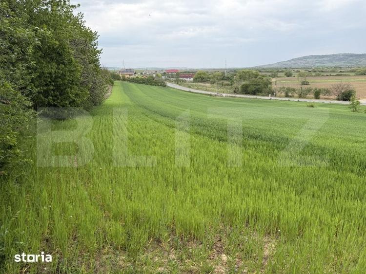 Teren de 12500 mp, în Bobota