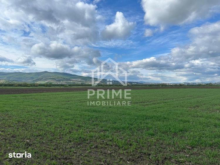 Teren de 1600 mp, în Central