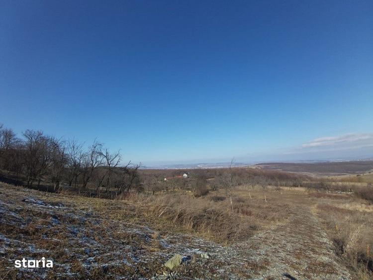 Teren de 3744 mp, în Jucu