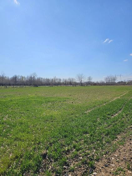 Teren de 4400 mp, în Baia de Fier