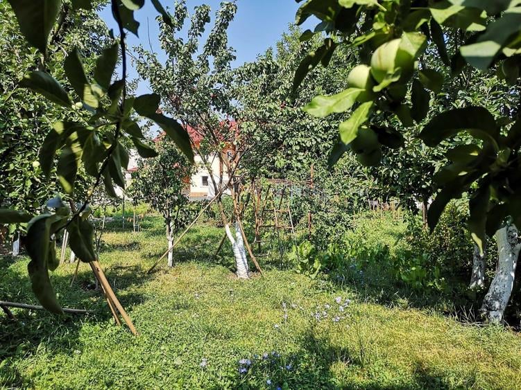 Casă cu 4 camere cu Teren 2463 Mp în Bartolomeu