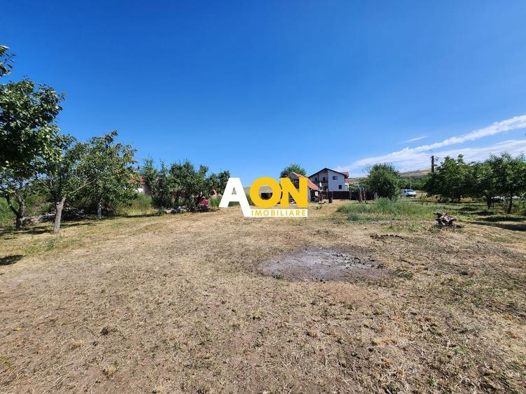 Teren Construcții intravilan de 10651 mp, în Oarda