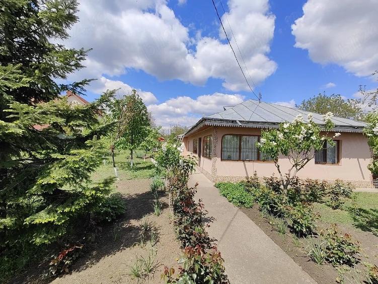 Casă cu 4 camere cu Teren 1280 Mp în Pechea