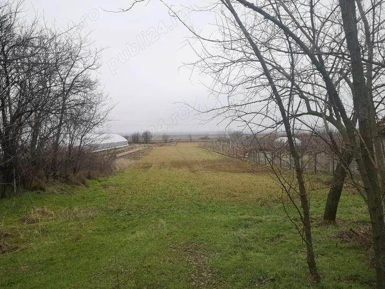 Teren de 2570 mp, în Prundeni