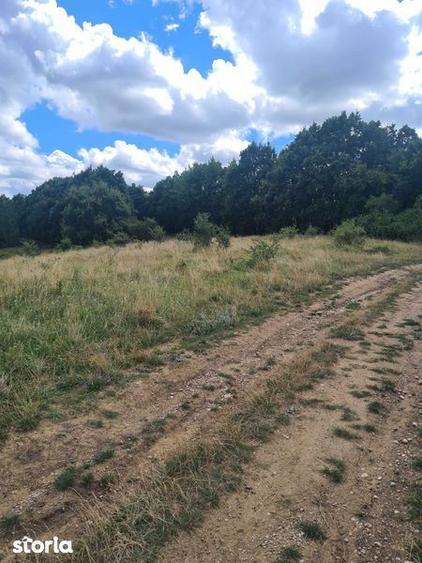 Teren de 2500 mp, în Ciurila