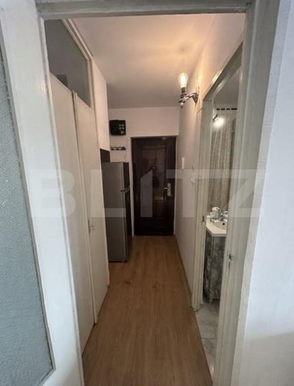 Apartament cu 1 cameră de închiriat, 250 €/lună, Girocului - 7