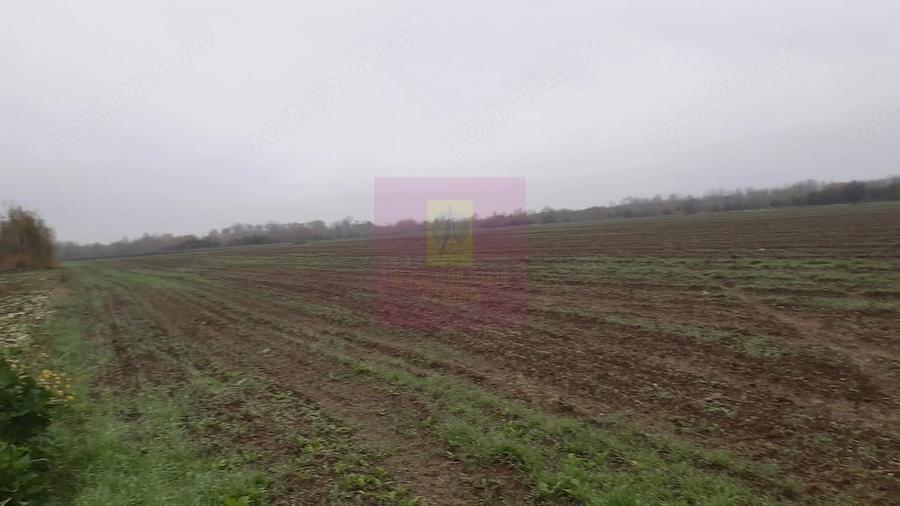 Teren de 2250 mp, în 1 Decembrie