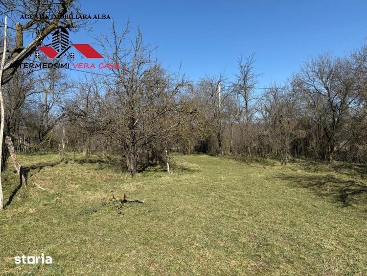 Casa si anexe cu un teren de 7701 mp de vanzare in Stauini Jud Alba - 17
