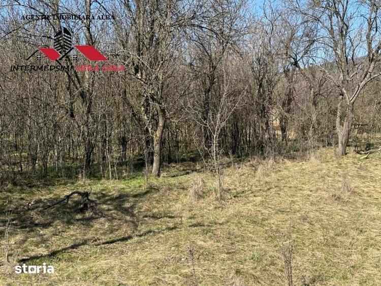 Casa si anexe cu un teren de 7701 mp de vanzare in Stauini Jud Alba - 3