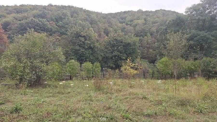 Vand gradina intravilan pe Valea Barzavii - 2