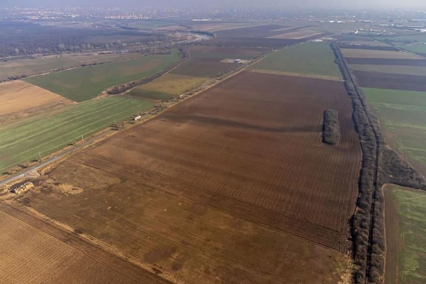 Teren de 40400 mp, în Sud