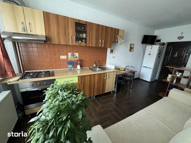 Apartament cu 2 camere, mobilat în Turnișor
