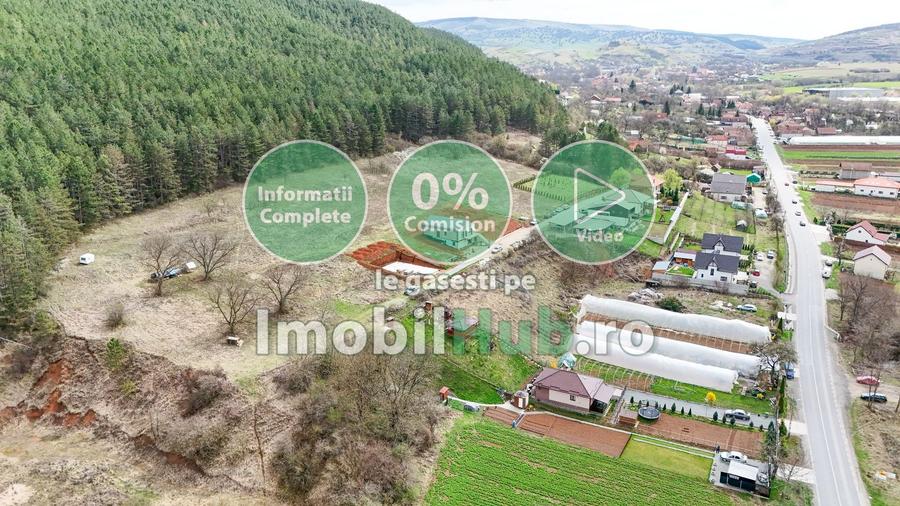 Teren Construcții intravilan de 10130 mp, în Vlaha