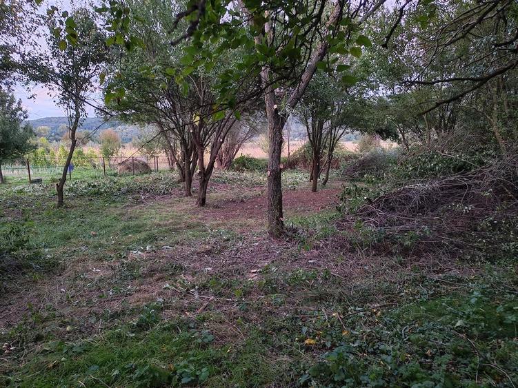 Teren de 5000 mp, în Central