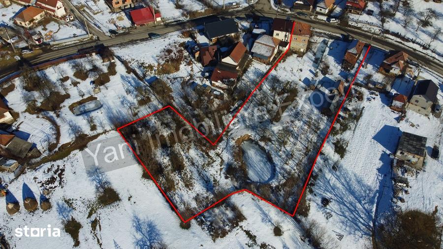 Casă cu 3 camere cu Teren 3877 Mp în Valea Danului