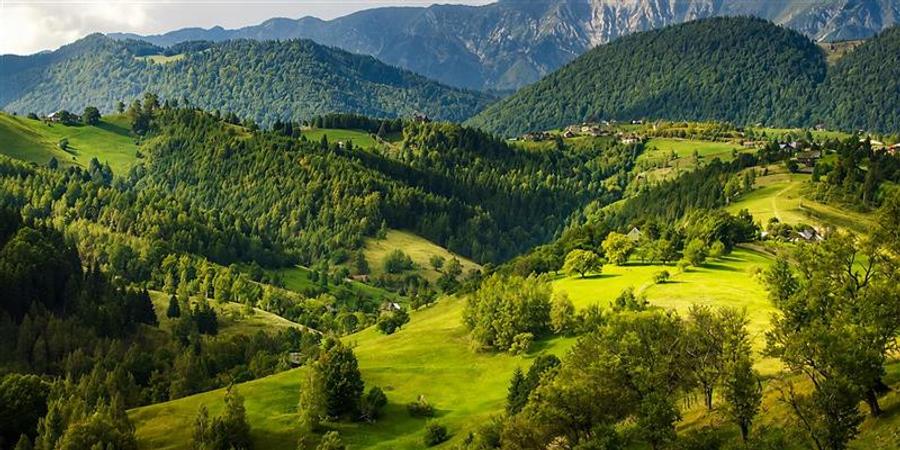 Casă individuală cu 9 camere cu Teren 1000 Mp în Peștera