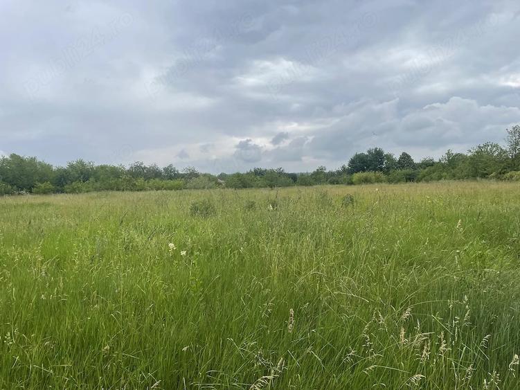 Teren de 20000 mp, în Urleta