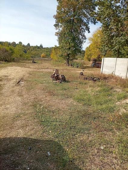 Teren de 4150 mp, în Icoana