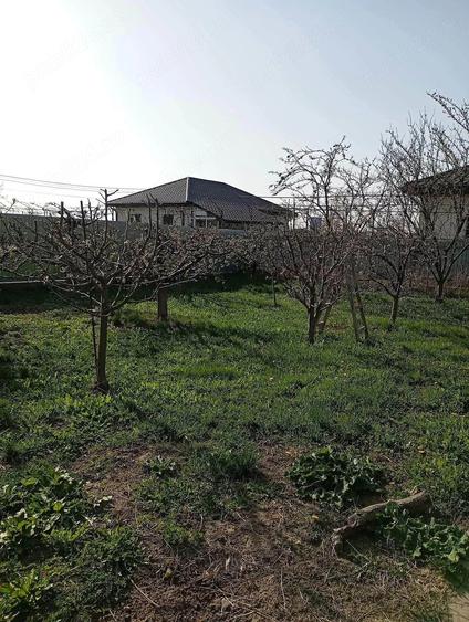 Casă cu 3 camere cu Teren 817 Mp în Central