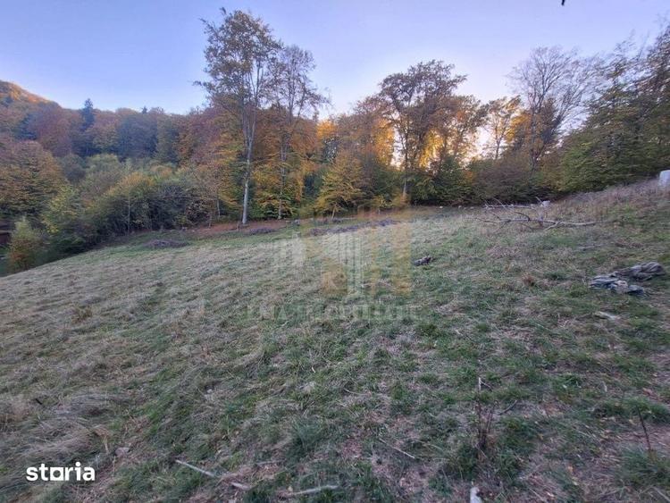 Teren de 2900 mp, în Dârste