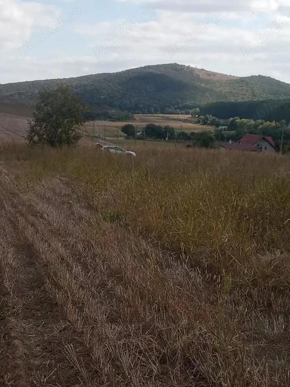 Teren de 1500 mp, în Telița