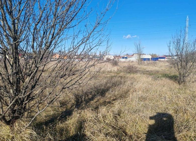 Teren Construcții intravilan de 6740 mp, în Dragomirești-Deal