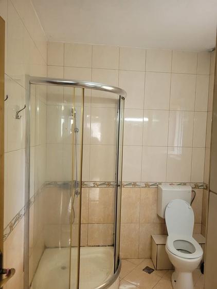 Apartament cu 2 camere decomandat în Dosu Bricii