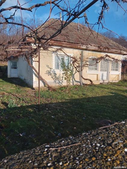 Casă cu 2 camere cu Teren 3754 Mp în Costișa