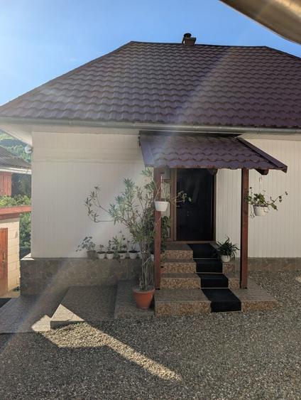Casă cu 3 camere în Vidra