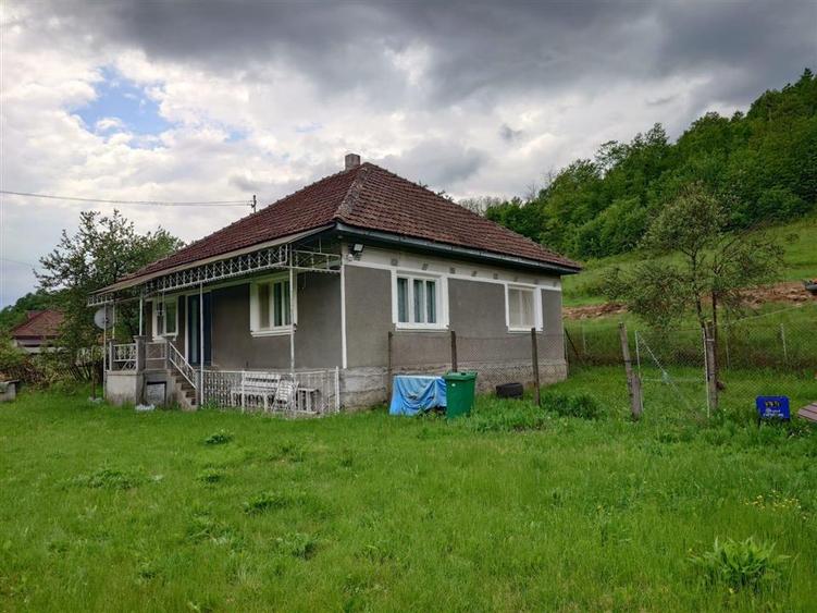 Casă cu 3 camere cu Teren 12861 Mp în Luncoiu de Jos