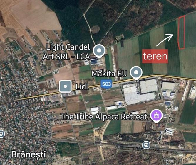 Teren Construcții extravilan de 20000 mp, în Brănești